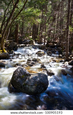 Forest scene with smooth water creek in Yosemite California