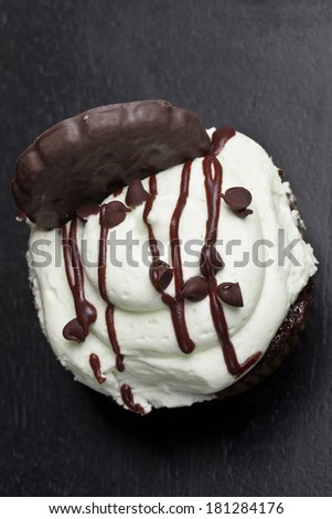 Delicious chocolate mint cupcake with miniature chocolate chips sprinkled on top with drizzled melted chocolate - top view