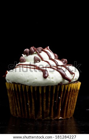 Delicious chocolate mint cupcake with miniature chocolate chips sprinkled on top - vertical shot on a black background
