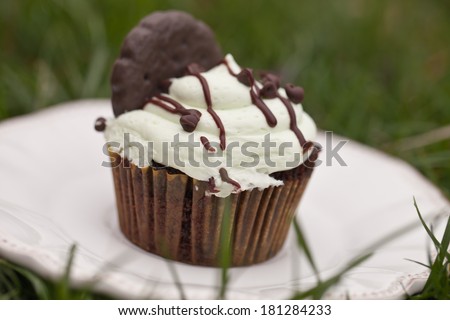 Delicious chocolate mint cupcake with miniature chocolate chips sprinkled on top outside on a vintage plate in tall new spring green grass