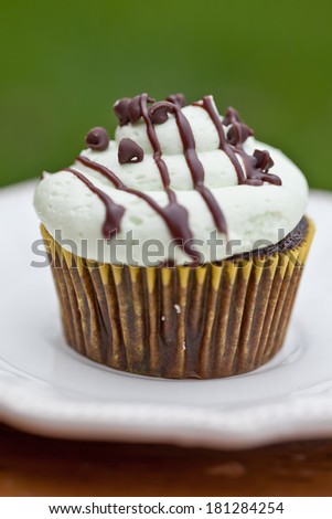 Delicious chocolate mint cupcake with miniature chocolate chips sprinkled on top with a green background