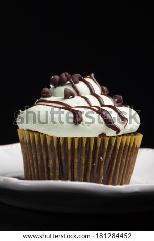 Delicious chocolate mint cupcake with miniature chocolate chips sprinkled on top on a vintage antique china plate on a black background