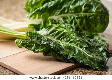 Macro shot of freshly harvested Swiss Chard from an organic farm - showing whole top of leaf