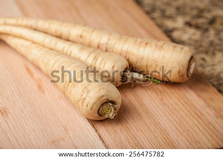 Macro shot of three freshly harvested parsnips from an organic