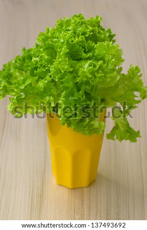 Lettuce in a yellow cup on the table