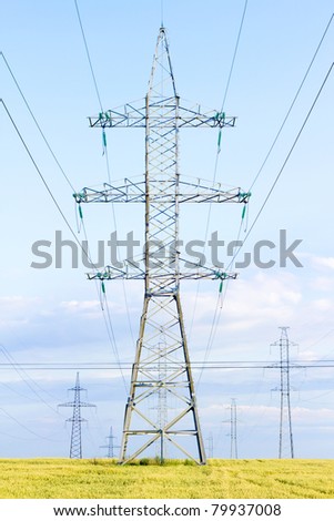 several transmission lines in the middle of a wheat field