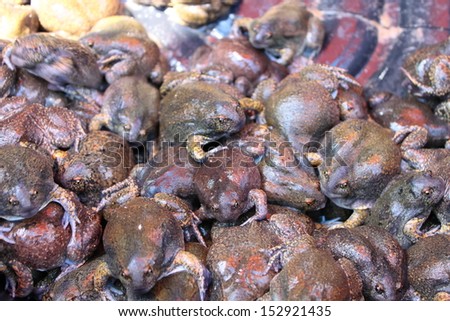 Bulk of bullfrog and were sold for food