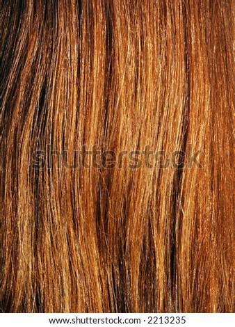 Brown hair on sun detail. Macro