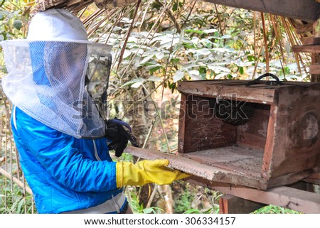 Worker check box of beehive, asia