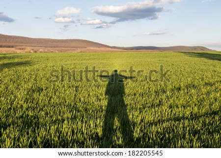 Green fresh grass with man shadow and blue sky