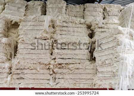 Paper and pulp mill - Detail of cellulose. It mainly obtained from wood pulp and cotton. It is mainly used to produce cardboard and paper.