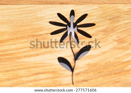 wood, flower, closeup,\
blooming,\
photo,\
table,\
natural,\
white,\
spring,\
march,\
petal,\
carving,\
day,\
blank,\
brown,\
new,\
flower,\
concept,\
yellow,\
may,\
summer,\
blossom,\
old,\
bloom,\
element,\
card,\
daisy,