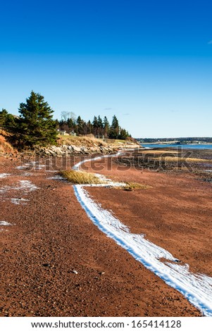Frost line from high tide against dark red soil