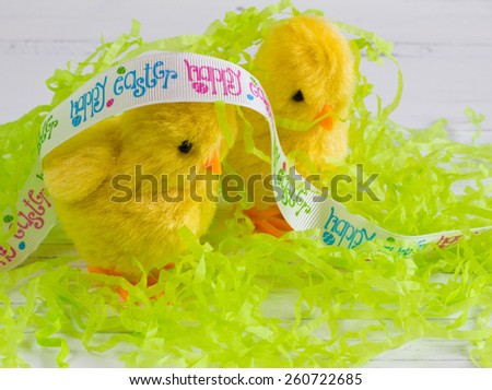 Easter -  Happy Easter yellow chick with egg shell on white wood background with shredded green paper
