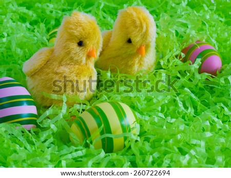 Easter -  Happy Easter yellow chick with egg shell on white wood background with shredded green paper