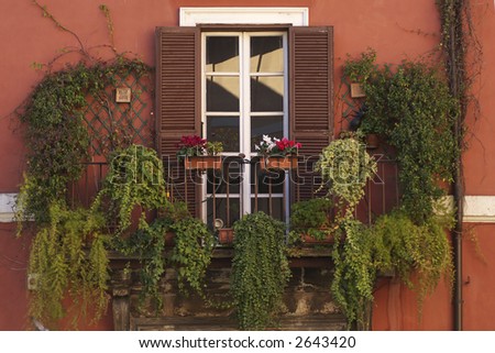 old shuttered window with an abundance of house plants on the terrace rome italy creates a typical mediterranean scene