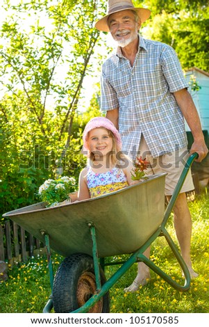 Grandfather giving granddaughter ride in wheelbarrow in the garden