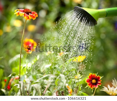 Watering flowers with a watering can