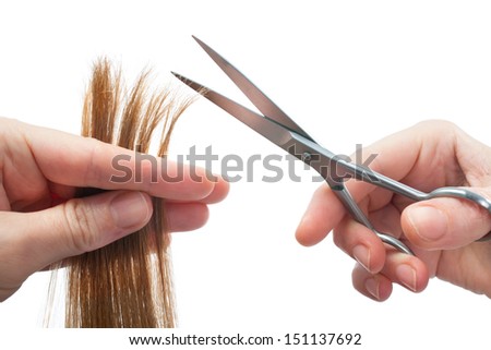 hands of hairdresser cutting woman бщ s hair isolated on white hands of hairdresser cutting woman бщ s hair isolated on white