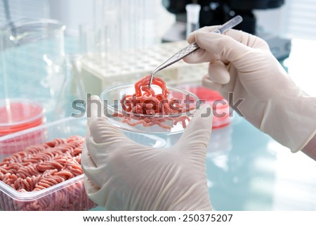 Food quality control expert inspecting at meat specimen in the laboratory