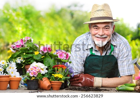 Portrait of senior man in the flower garden