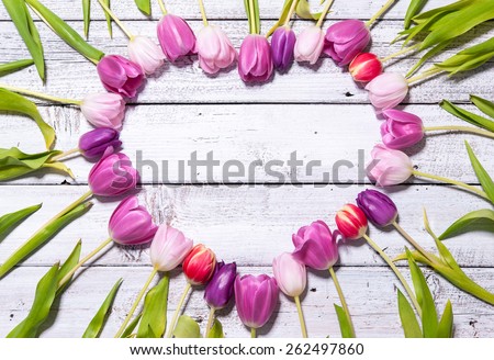 Heart of fresh tulips arranged on white wooden background