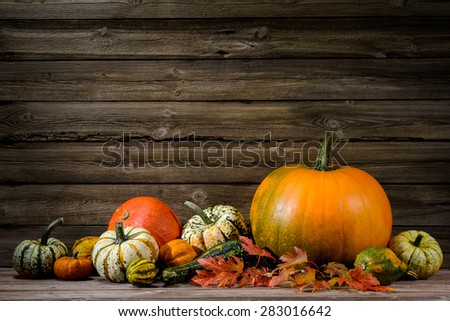 Thanksgiving day autumnal still life with pumpkins on old wooden