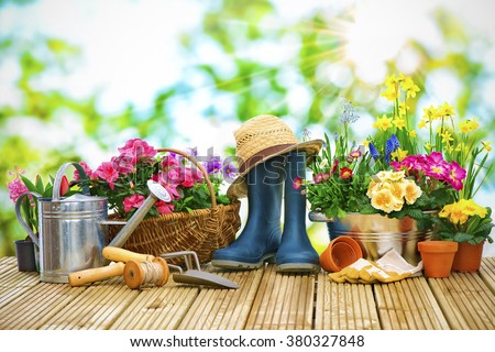 Gardening tools and flowers on the terrace in the garden