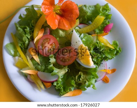 Fresh garden salad with. Low-carb and diet friendly.