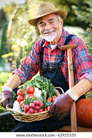 Senior gardener with a basket of harvested vegetables in the garden