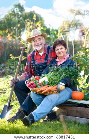 Senior couple with a basket of harvested vegetables