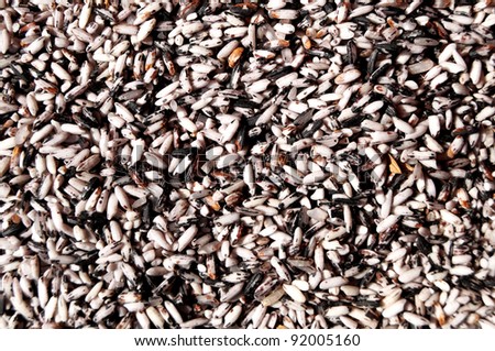 rice blend texture or background