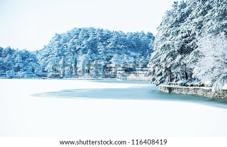 Winter, snow scene,Frozen lake, Famous scenic area, the Mount Lu of China