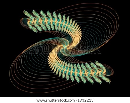fine lined spiral