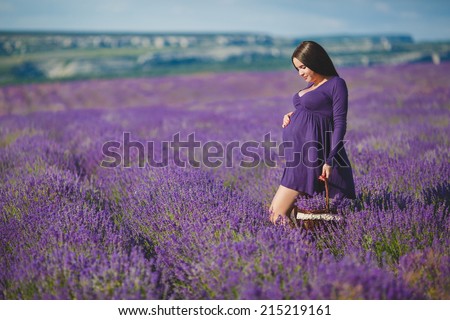long-haired pretty pregnant woman in a lavender field with basket of lavender flowers. Young romantic pregnant woman picks some lavender from purple lavender field. In dress, bouquet of lavender