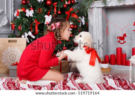 Celebrating christmas with furry friends. little girl with two golden retriever puppies. christmas tree and presents. Pretty child girl with retriever wearing christmas hat
