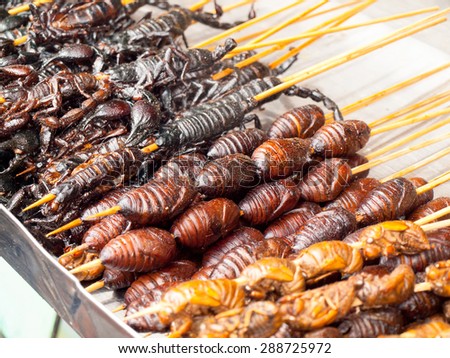Roasted fried insects and scorpions and bugs as snack street food in China