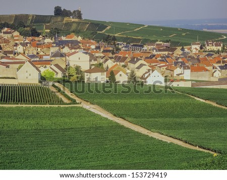 A view over the  champagne vineyards of verzelay epernay champagne ardennes france