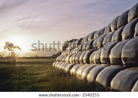 black plastic animal feed bags stored in a farmers field
