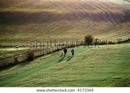 walkers with dogs. the ridgeway path. pitstone hill. the chilterns. buckinghamshire.