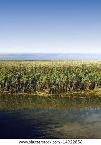 Broads National Park