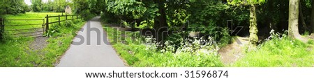 footpath through vegetation