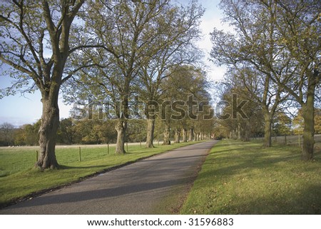 country lane  estate warwickshire midlands england uk