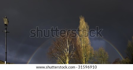 farmland with silver birch trees and an approaching storm on the horizon