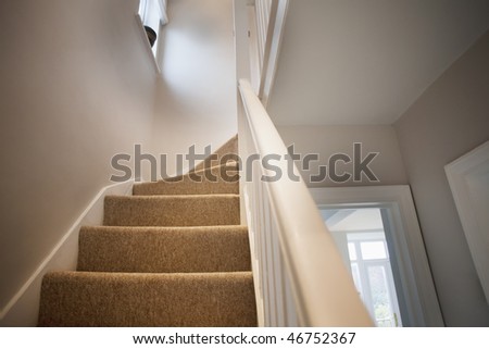 stairs and stair carpet inside a newly modernised house