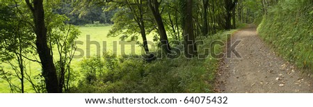 footpath through woodland between trees - the estate of hartland abbey stately home devon uk
