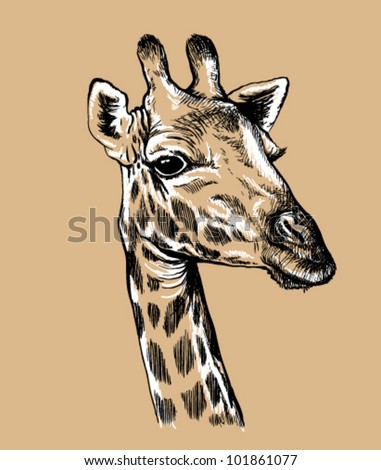 line drawing giraffe