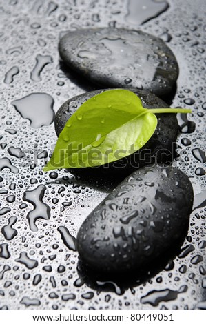 stone and leaves in drops of water
