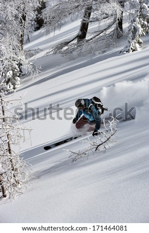 Free ride skier turns in powder snow