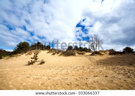 sandy hill with trees on horizon and blue sky with clouds